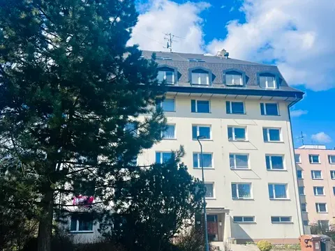 Prodej bytu 3+1, Žďár nad Sázavou, Purkyňova, 74 m2
