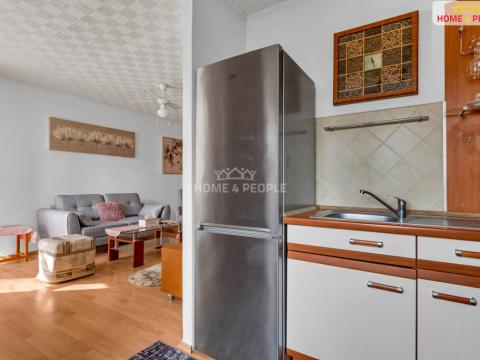 Prodej bytu 1+1, Praha - Troja, U Pentlovky, 41 m2