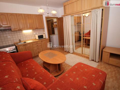 Pronájem bytu 1+kk, Mariánské Lázně - Úšovice, Tepelská, 20 m2