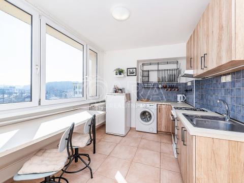 Prodej bytu 1+1, Kralupy nad Vltavou, sídl. Hůrka, 27 m2