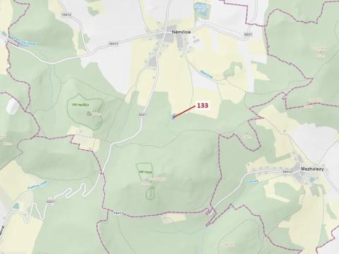 Dražba lesa, Němčice, 1636 m2