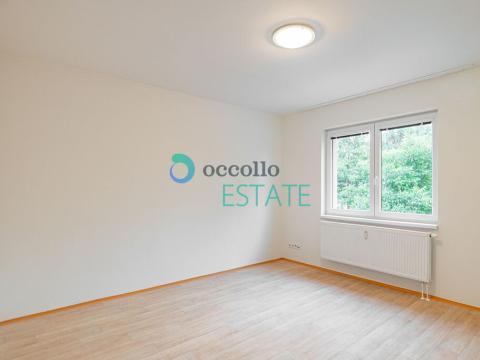 Pronájem bytu 1+kk, Otvovice, 29 m2
