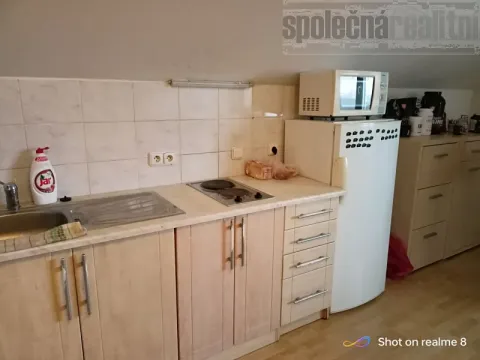 Pronájem bytu 1+kk, Holubice, U Parku, 45 m2