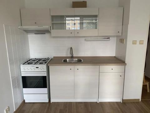 Pronájem bytu 1+1, Jihlava, S. K. Neumanna, 38 m2