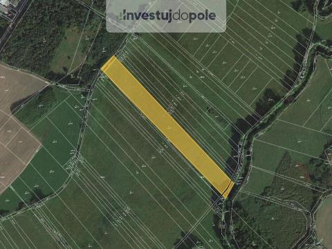 Prodej louky, Dobřany, 790 m2