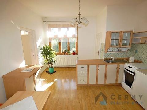 Pronájem bytu 1+1, Liberec, Americká, 46 m2