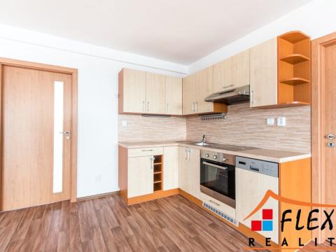 Pronájem bytu 4+kk, Ostrava, Hrušovská, 154 m2