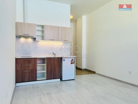 Pronájem bytu 1+kk, Janovice nad Úhlavou, Rozvojová zóna, 24 m2