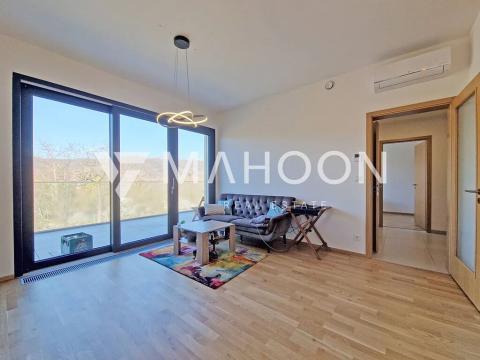 Pronájem bytu 2+kk, Praha - Hodkovičky, Šenácká, 76 m2