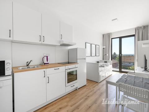 Pronájem bytu 1+kk, Praha - Kyje, Za černým mostem, 24 m2