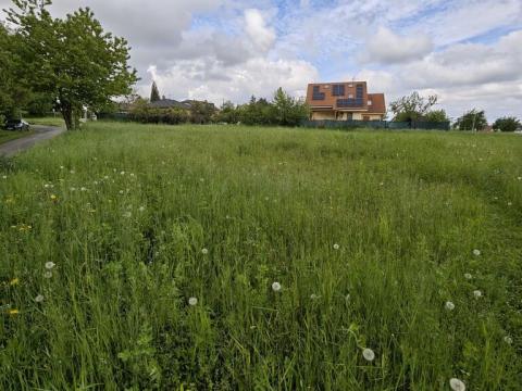 Prodej pozemku pro bydlení, Vitice - Hřiby, 799 m2