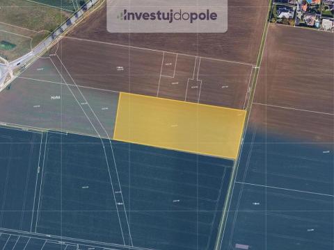 Prodej pole, Moravany, 12960 m2