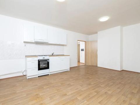 Pronájem bytu 1+kk, Třemešná, 40 m2