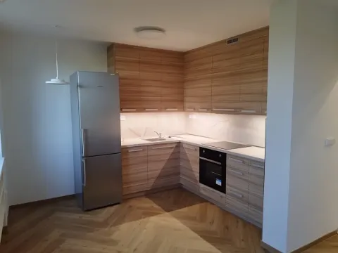 Pronájem bytu 1+kk, Pavlovice u Přerova, 28 m2