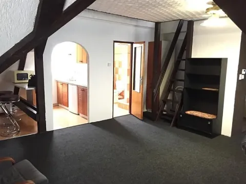 Pronájem bytu 2+kk, Praha - Ruzyně, Alej Českých exulantů, 80 m2