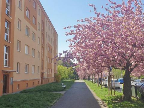 Prodej bytu 2+1, Most, Zdeňka Fibicha, 54 m2