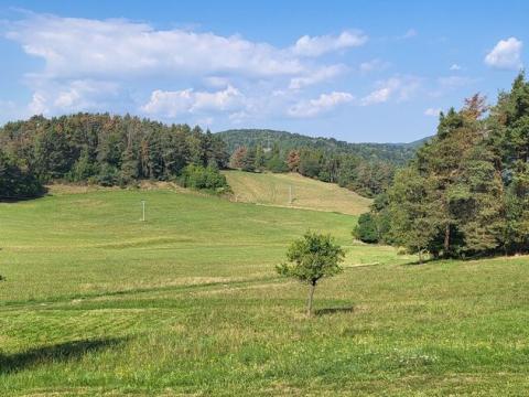 Prodej pozemku, Milešov - Přední Chlum, 544 m2