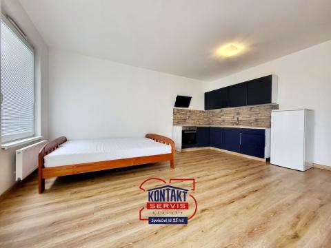 Pronájem bytu 1+kk, České Budějovice - České Budějovice 2, 46 m2