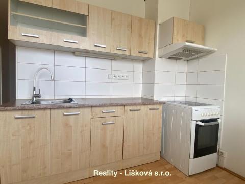 Pronájem bytu 1+1, Ústí nad Labem, Nová, 41 m2