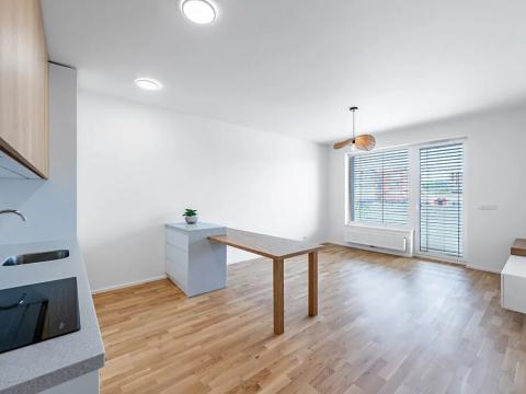 Pronájem bytu 2+kk, Praha - Vysočany, Fafkových, 58 m2