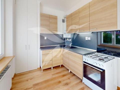 Pronájem bytu 3+1, Plzeň, Blatenská, 46 m2