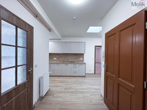 Pronájem bytu 2+1, Ústí nad Labem - Ústí nad Labem-centrum, Horova, 68 m2