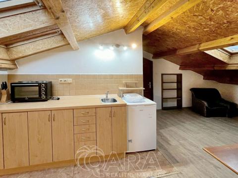 Pronájem bytu 1+kk, Ledenice, 20 m2
