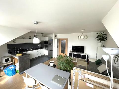 Pronájem bytu 2+kk, Plzeň, Nad Týncem, 46 m2