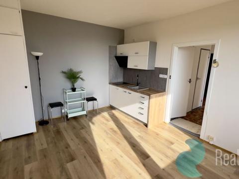 Pronájem bytu 1+1, České Budějovice, Netolická, 49 m2