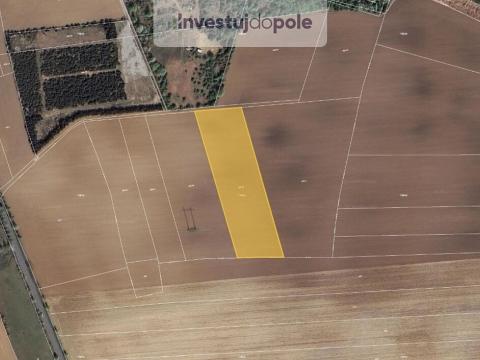 Prodej pole, Dolní Břežany, 10394 m2