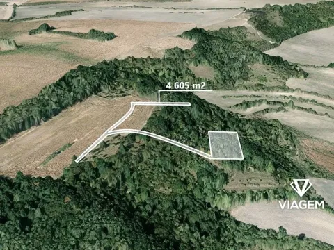 Prodej podílu lesa, Vraňany, 586 m2