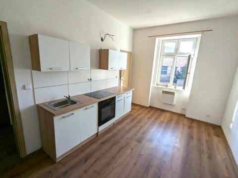 Pronájem bytu 1+1, Trmice, Žižkova, 46 m2