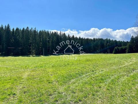Prodej komerčního pozemku, Černá v Pošumaví, 25271 m2