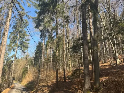 Prodej lesa, Kunčice pod Ondřejníkem, 2140 m2