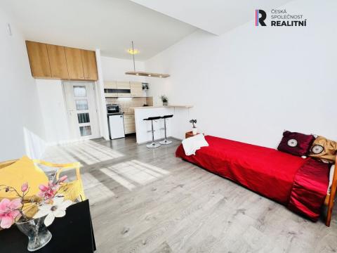 Pronájem bytu 1+kk, Brno - Zábrdovice, Příkop, 27 m2