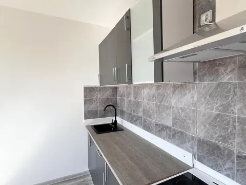 Pronájem bytu 1+1, Chomutov, Písečná, 38 m2