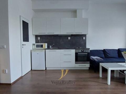 Pronájem bytu 1+kk, Brno - Královo Pole, Palackého třída, 42 m2