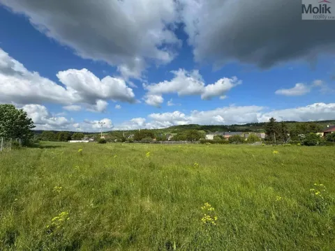 Prodej komerčního pozemku, Obrnice - České Zlatníky, 6880 m2