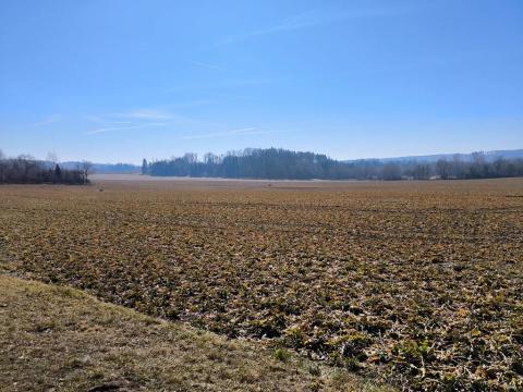 Prodej pole, Krahulčí, 116147 m2