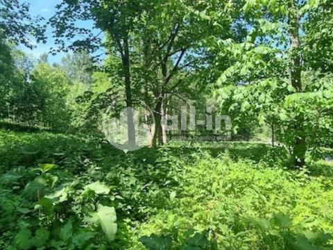 Prodej pozemku, Malá Morava - Vysoký Potok, 1411 m2