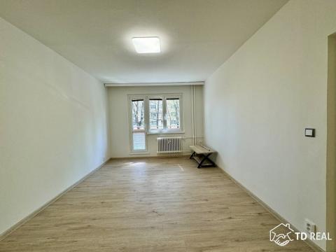 Pronájem bytu 1+1, Brno, Kotěrova, 40 m2