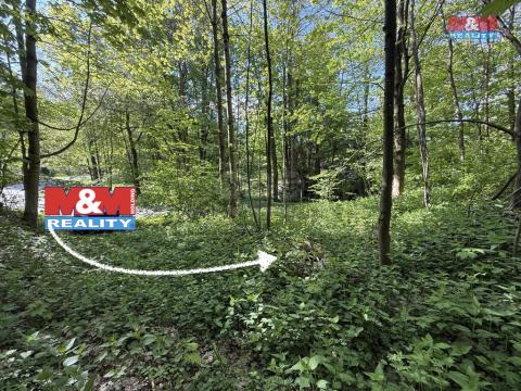 Prodej pozemku pro bydlení, Červená Voda - Horní Orlice, 424 m2