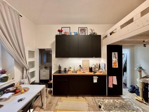 Pronájem bytu 1+kk, Praha - Holešovice, Letohradská, 23 m2