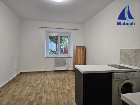 Pronájem bytu 1+kk, Praha - Žižkov, Biskupcova, 23 m2