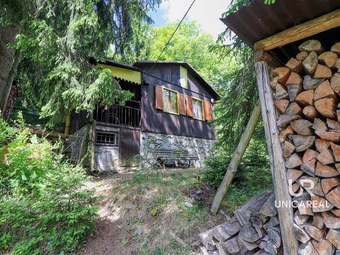 Prodej chaty, Nedvědice, 36 m2
