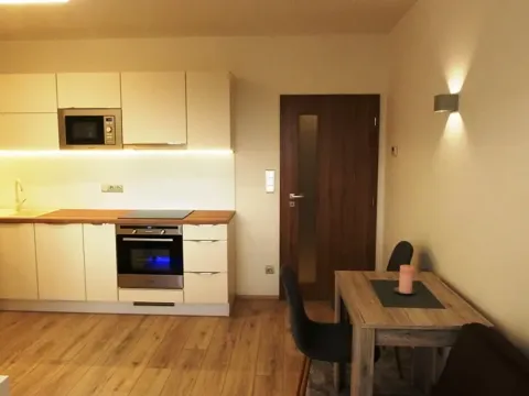 Pronájem bytu 1+kk, Zlín, Zelinova, 27 m2