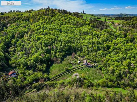 Prodej lesa, Milešov - Přední Chlum, 54900 m2