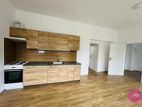 Pronájem bytu 2+kk, Dolany, 54 m2