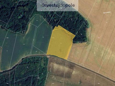 Prodej louky, Vysoká - Strážnice, 10931 m2
