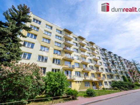 Prodej bytu 1+1, České Budějovice - České Budějovice 3, Puklicova, 35 m2
